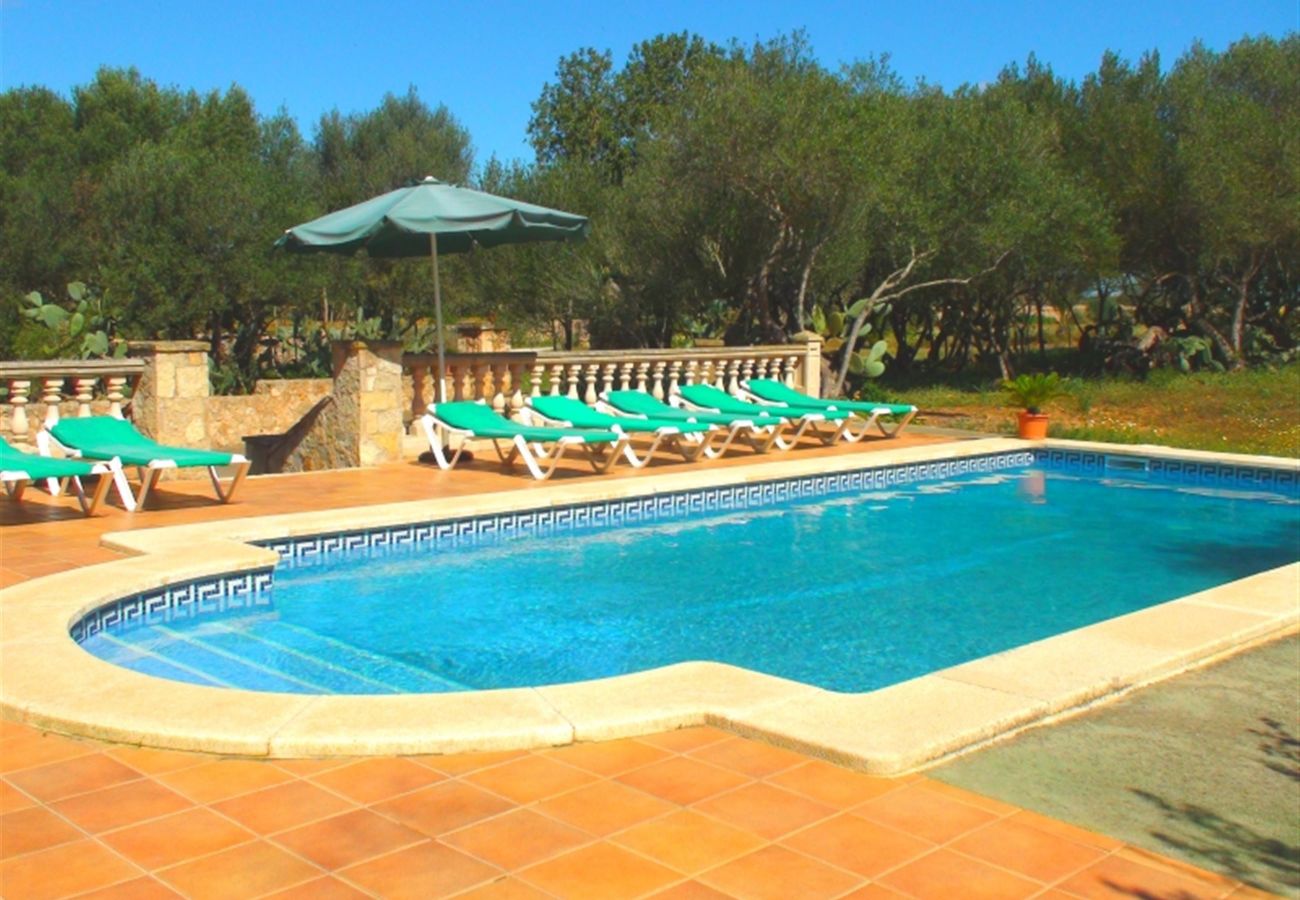 Country house in Campos - Pedro - Campos