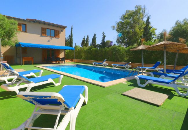 Finca in Santanyi - Alvaro - Santanyi